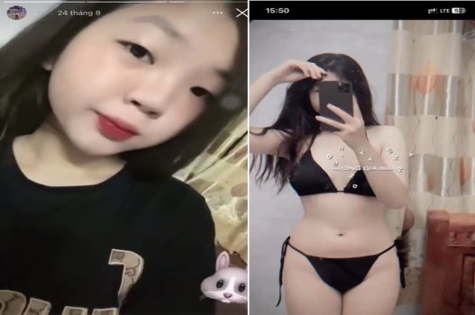 Thỏ bị hủy hoại bởi bướm dâm đãng